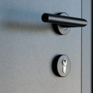 Fenstermaxx24 – FM haustueren drucker blackline 01 12