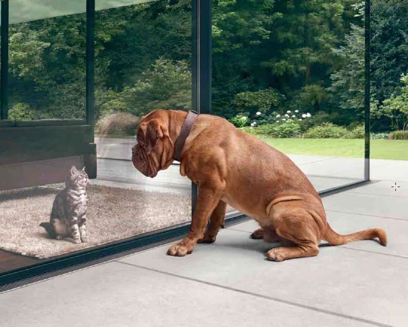 Fenstermaxx24 – sicherheit 1