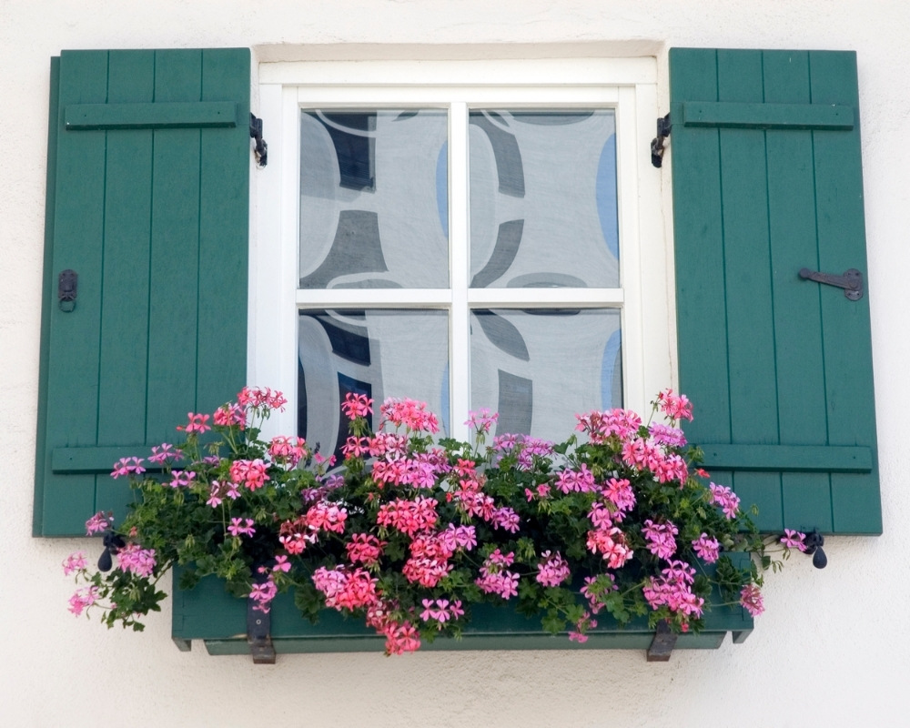 Fenstermaxx24 – Landhaus Fenster