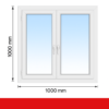 Fenster-2-flg-100-100